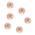 Light Peach Colour Stellux HF Flat Back Crystal (available in 3 sizes)